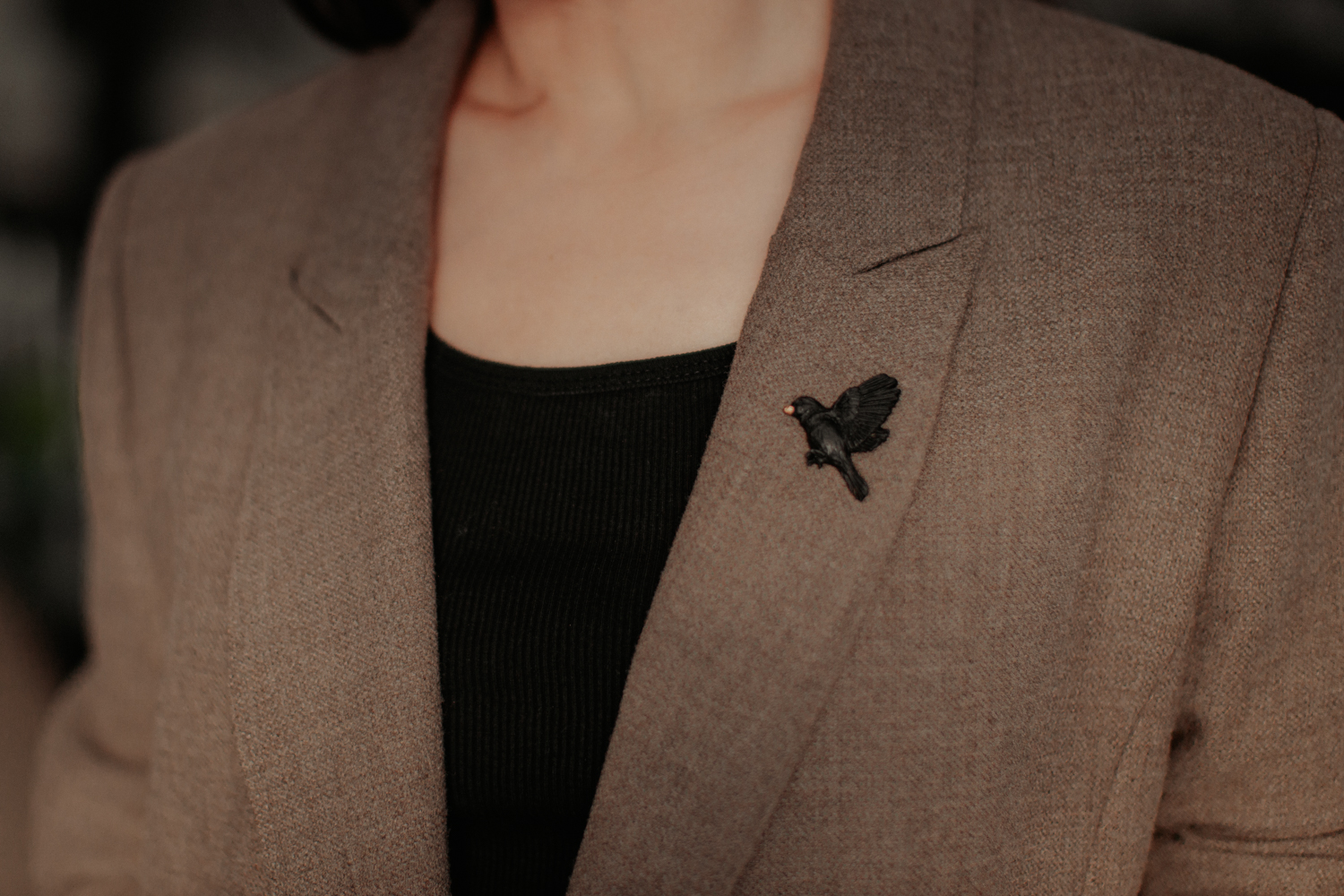 Piespraude "Melnais strazds" - Image 2