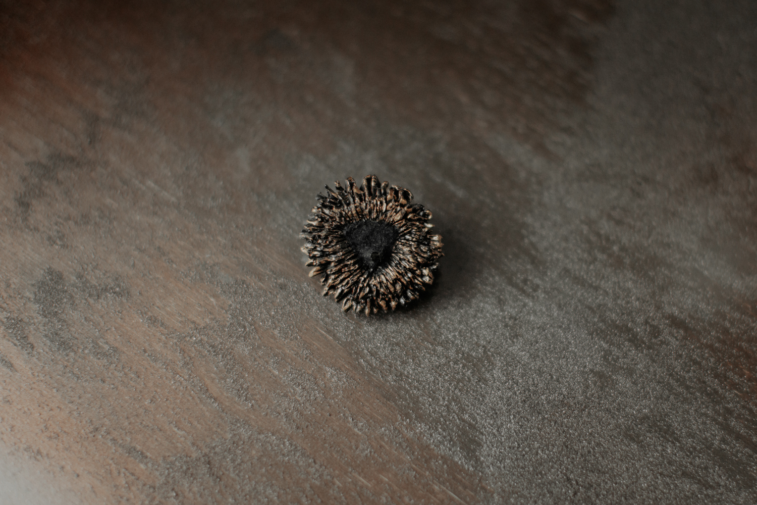 Piespraude "Eža kamoliņš"