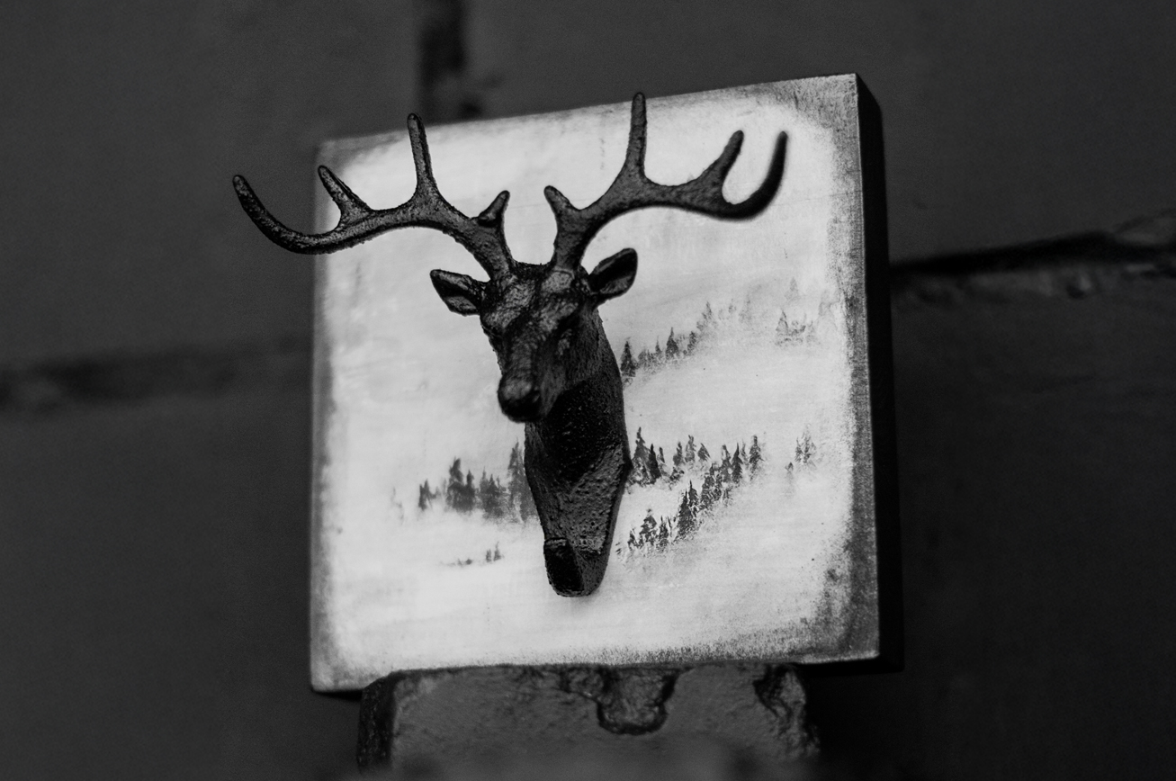 Atslēgu pakaramais "Mežā"