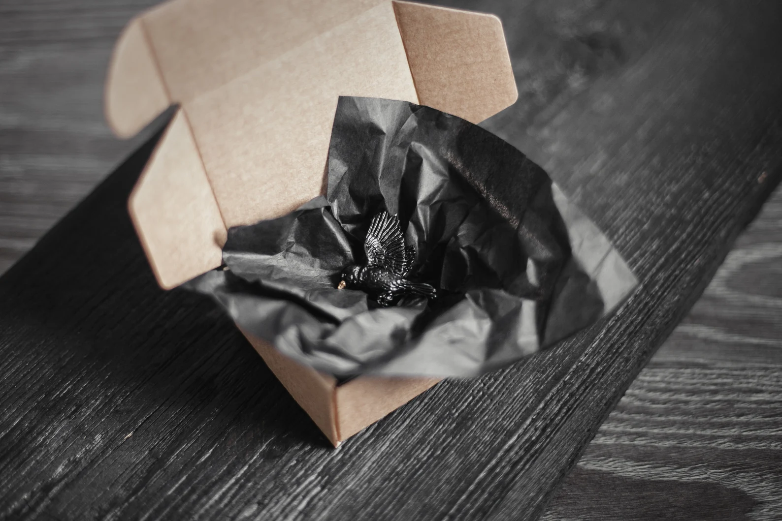 Piespraude "Melnais strazds" - Image 4