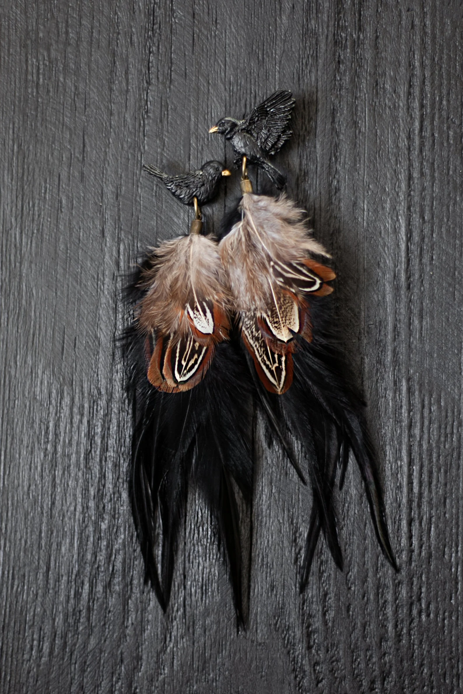 Spalvu auskari "Melnais strazds" ar brūnām spalvām