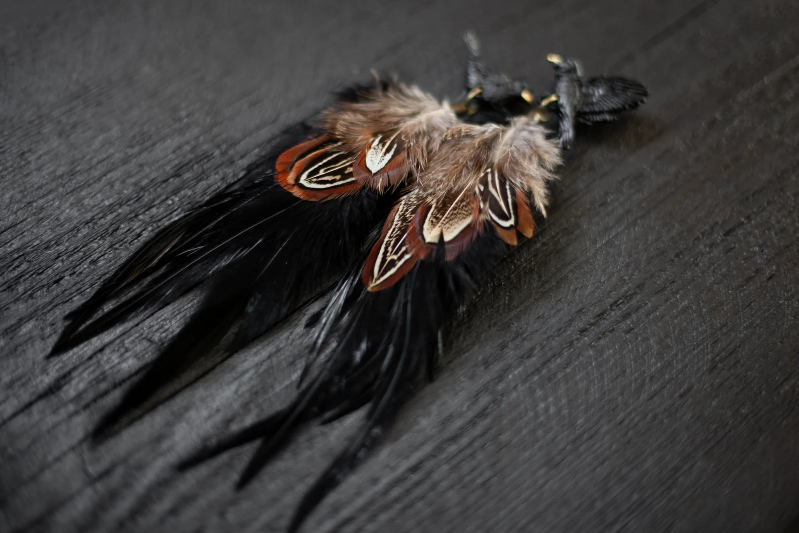 Spalvu auskari "Melnais strazds" ar brūnām spalvām - Image 2