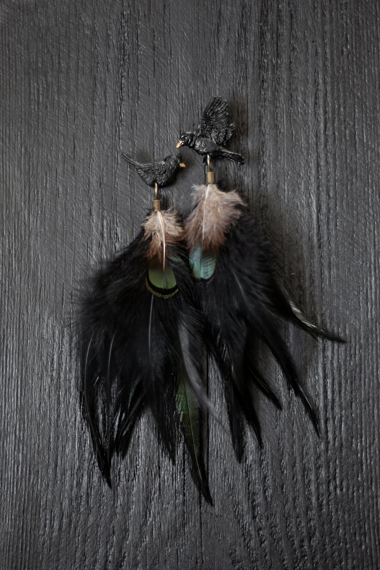 Spalvu auskari "Melnais strazds" ar zaļo spalvu