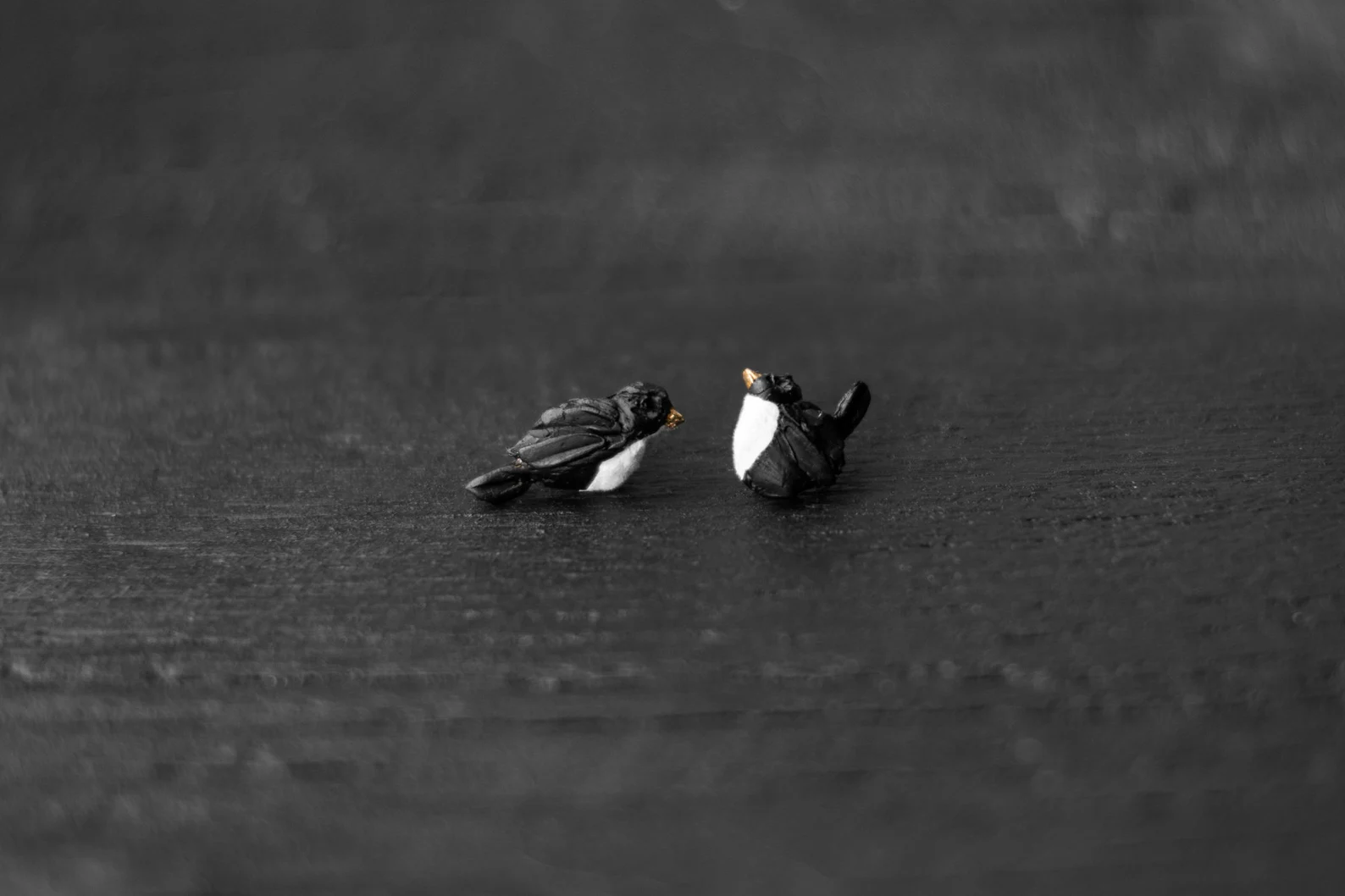 Auskari "Ūdensstrazds"