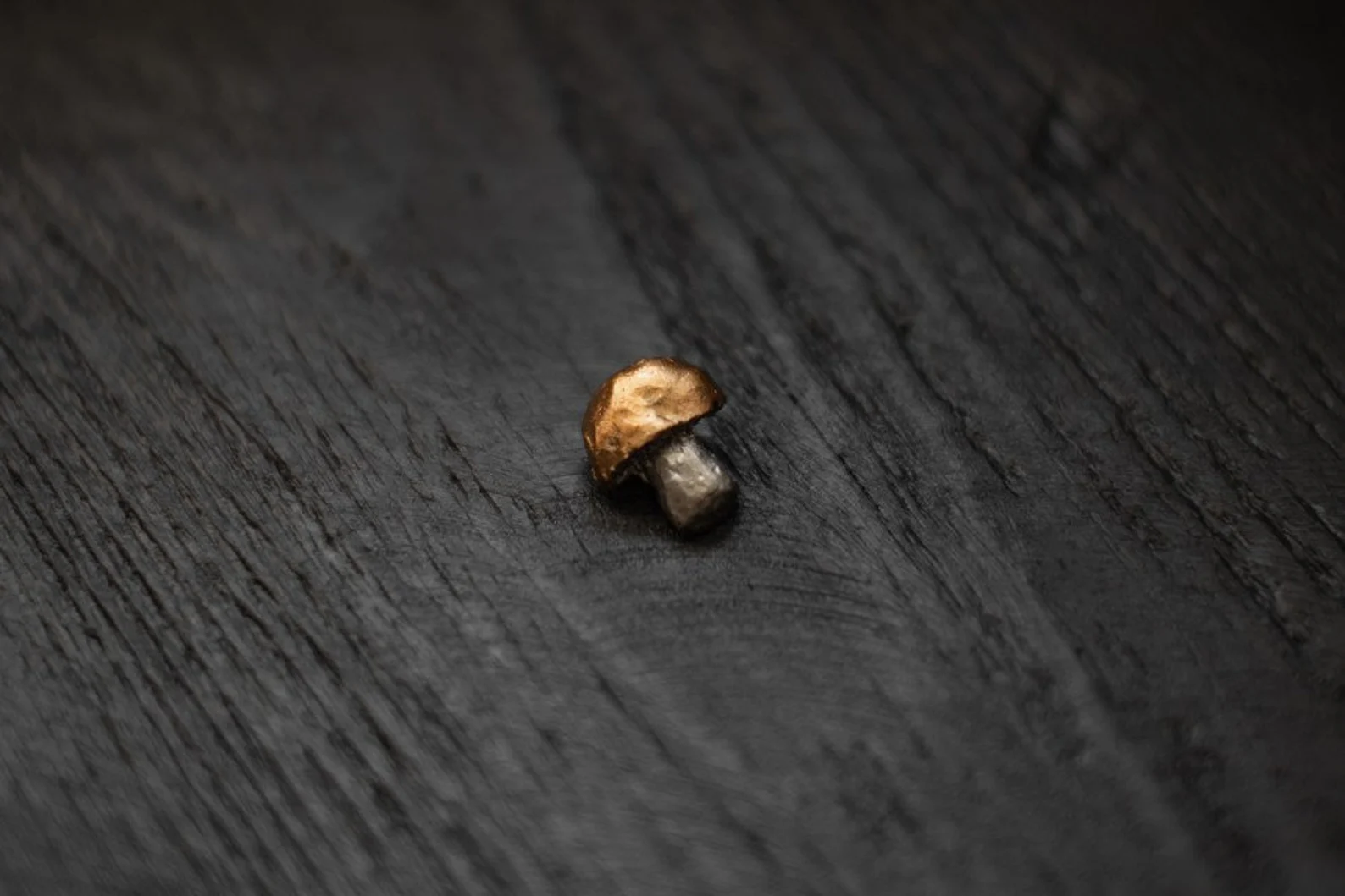 Piespraude "Beciņa" - Image 2