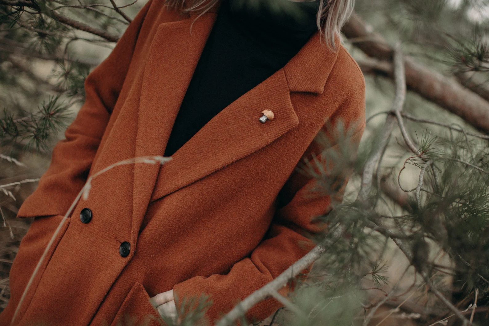 Piespraude "Beciņa" - Image 4