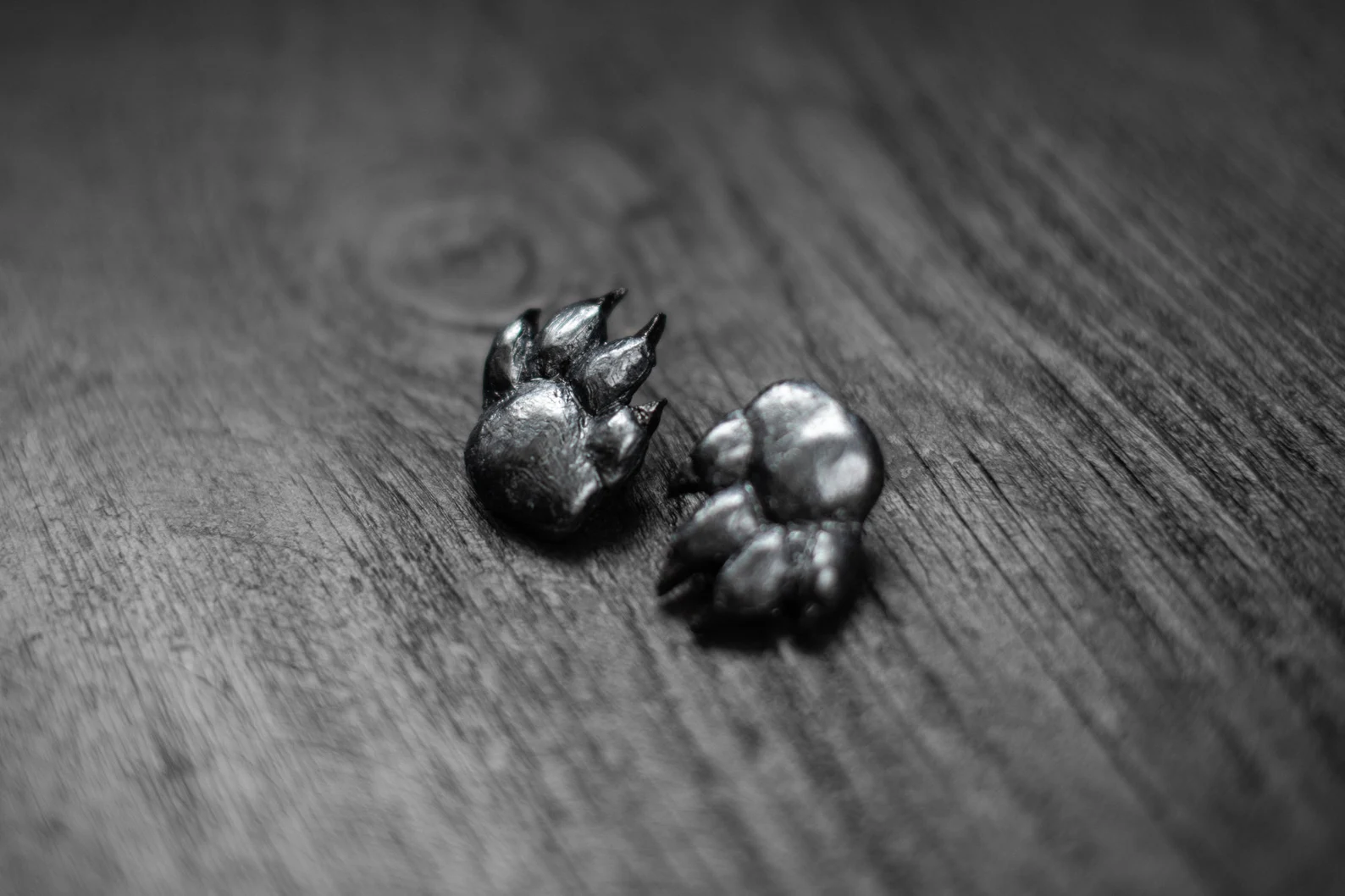 Auskari "Melnā ķepa"