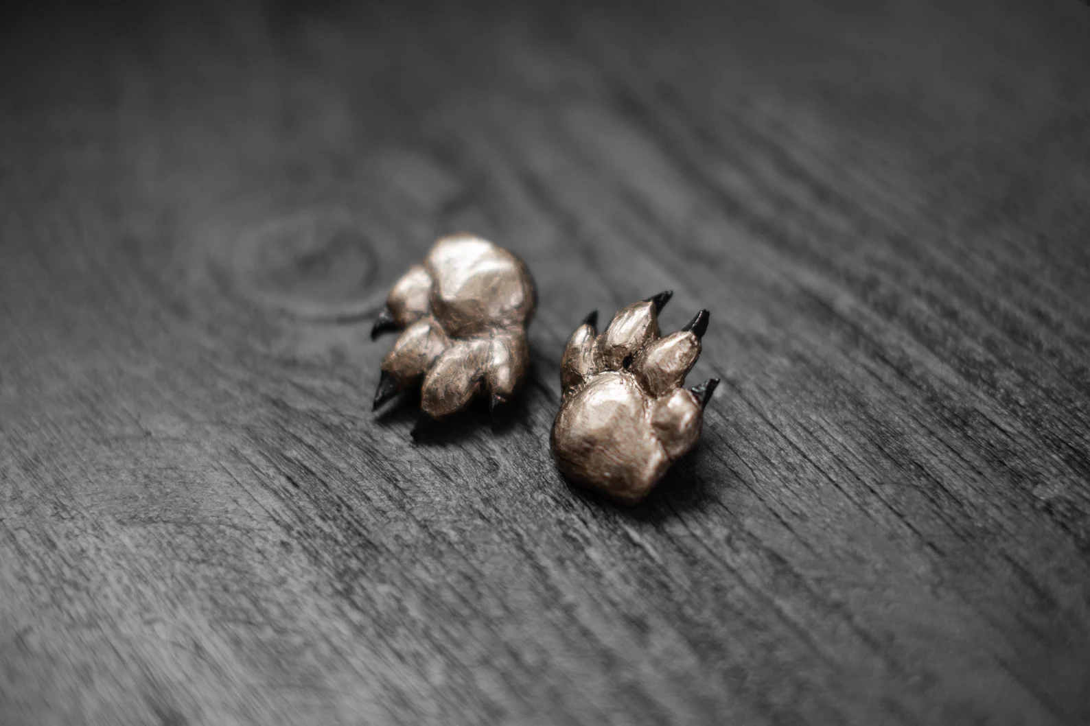 Auskari "Brūnā ķepa"