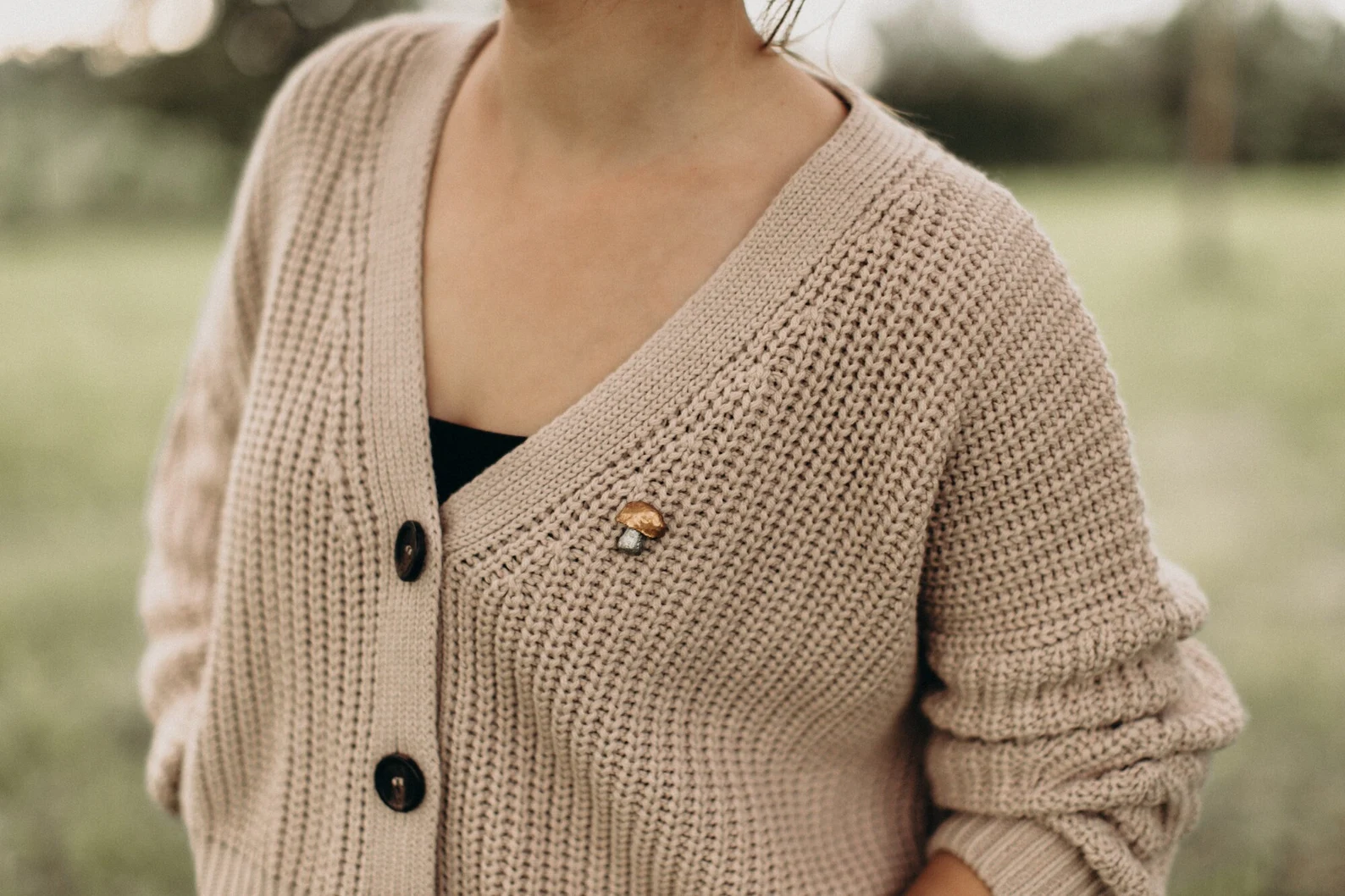 Piespraude "Beciņa" - Image 6