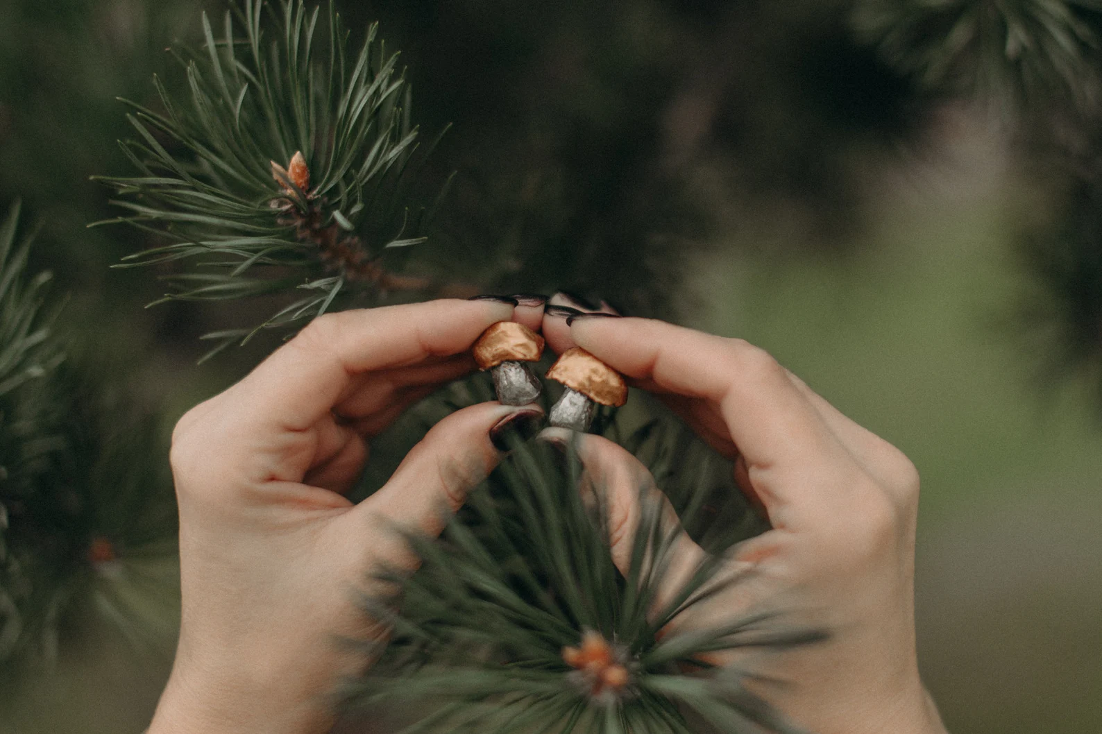 Auskari "Beciņas" - Image 8