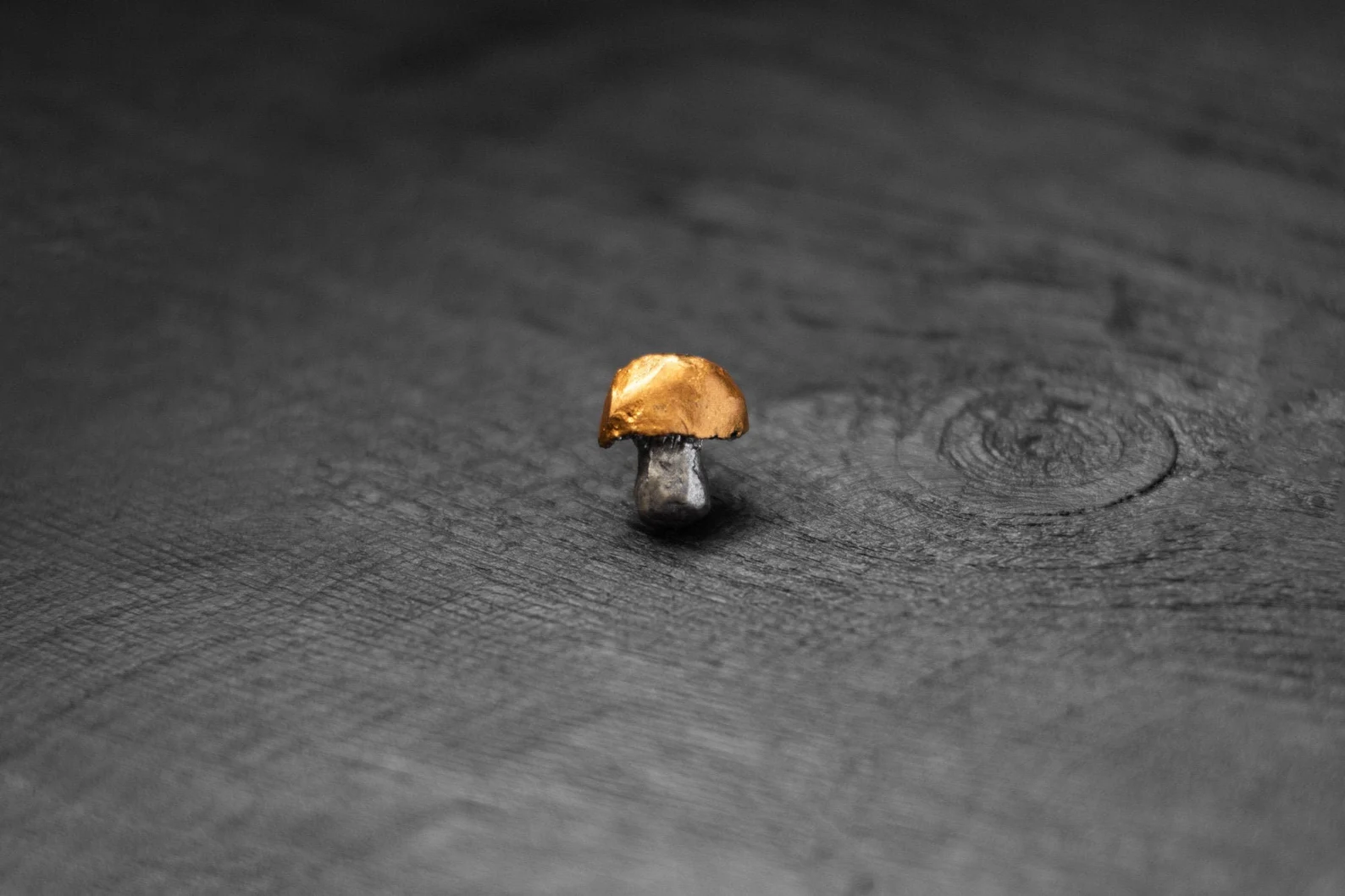 Piespraude "Beciņa"