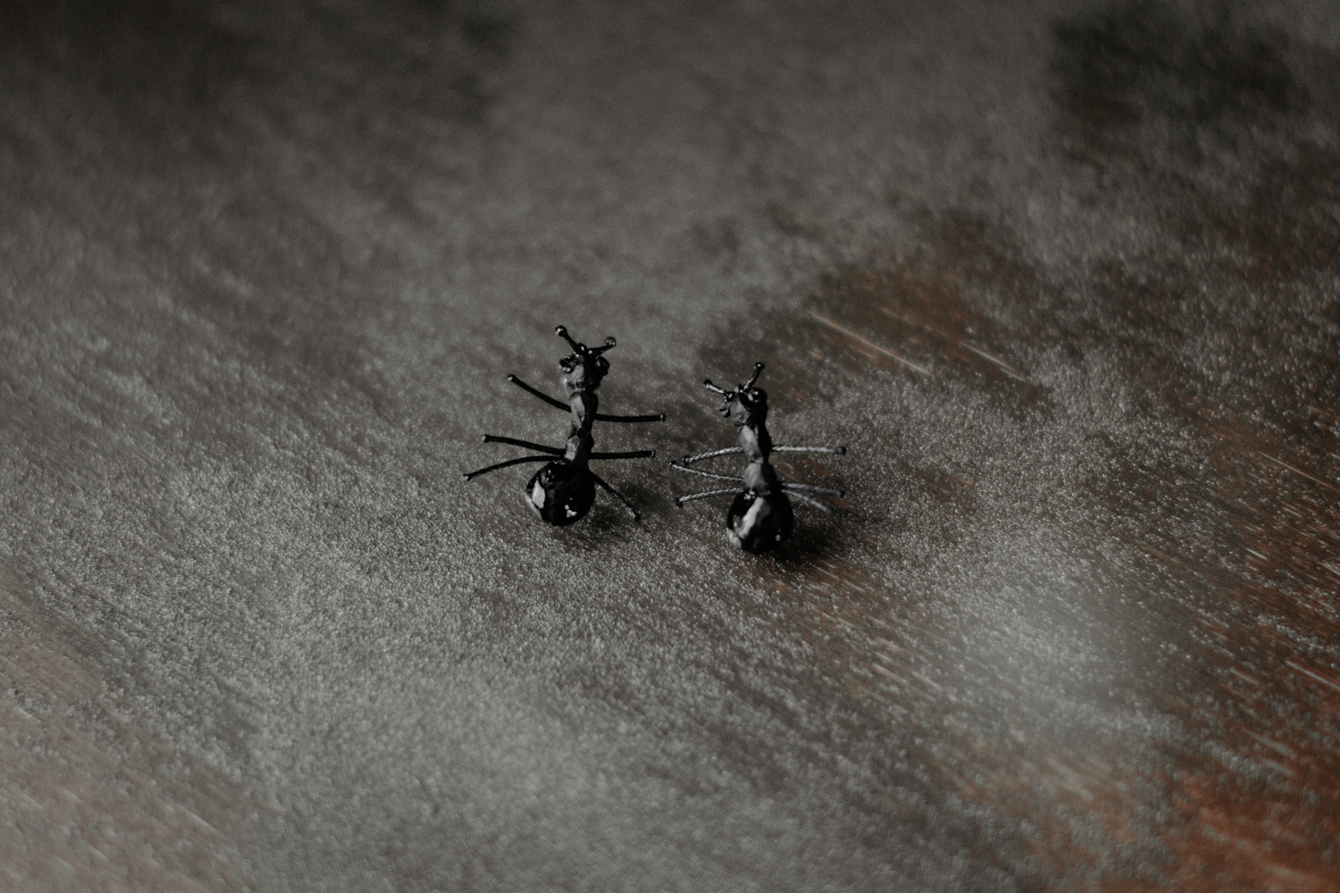 Auskari "Skudriņas"